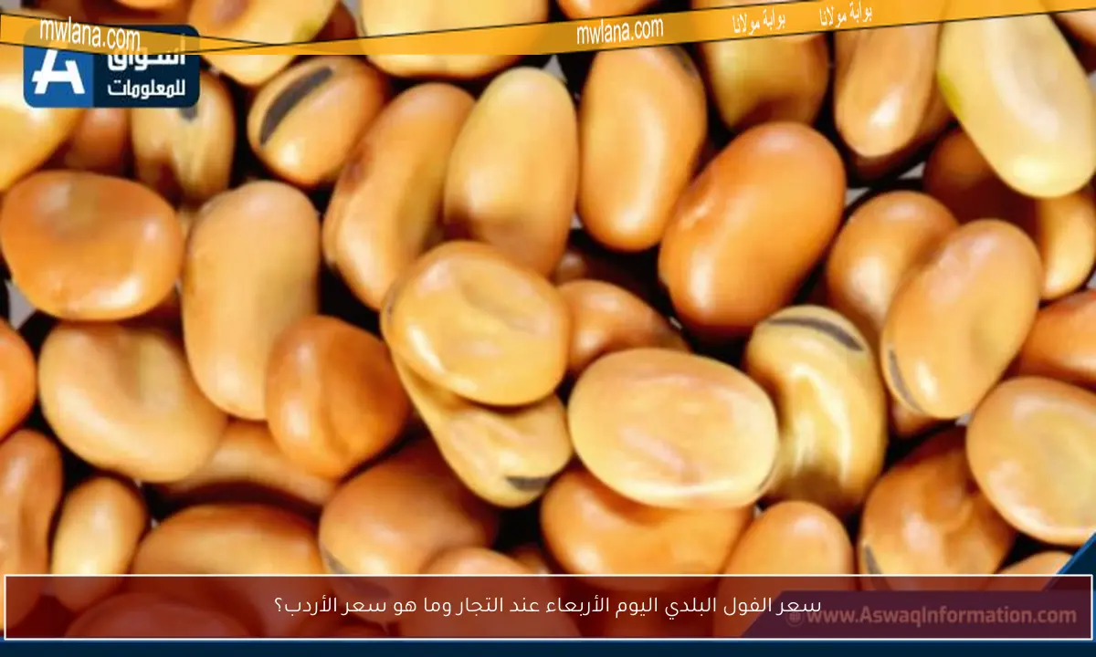 سعر الفول البلدي اليوم الأربعاء عند التجار وما هو سعر الأردب؟