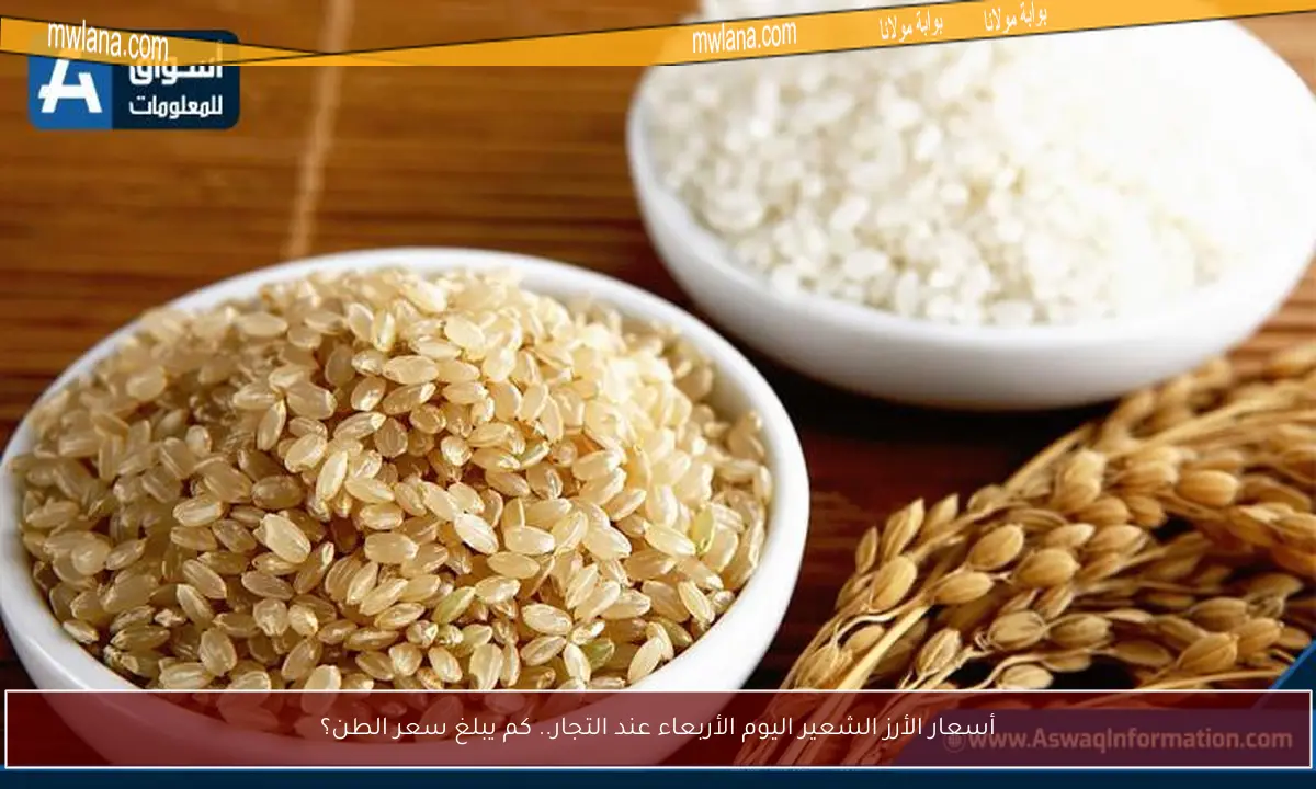 أسعار الأرز الشعير اليوم الأربعاء عند التجار.. كم يبلغ سعر الطن؟