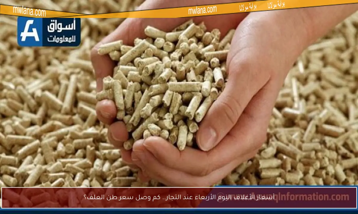 أسعار الأعلاف اليوم الأربعاء عند التجار.. كم وصل سعر طن العلف؟