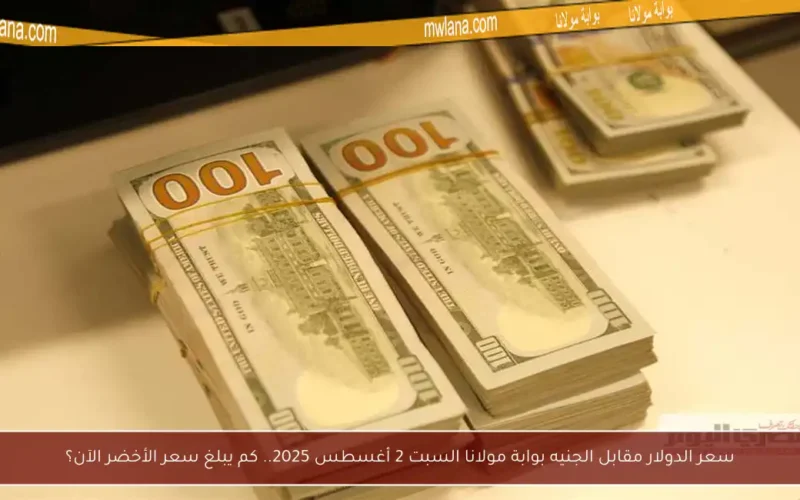 سعر الدولار مقابل الجنيه بوابة مولانا السبت 2 أغسطس 2025.. كم يبلغ سعر الأخضر الآن؟