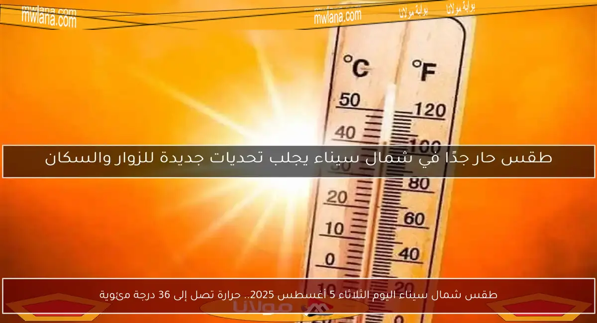 طقس شمال سيناء اليوم الثلاثاء 5 أغسطس 2025.. حرارة تصل إلى 36 درجة مئوية