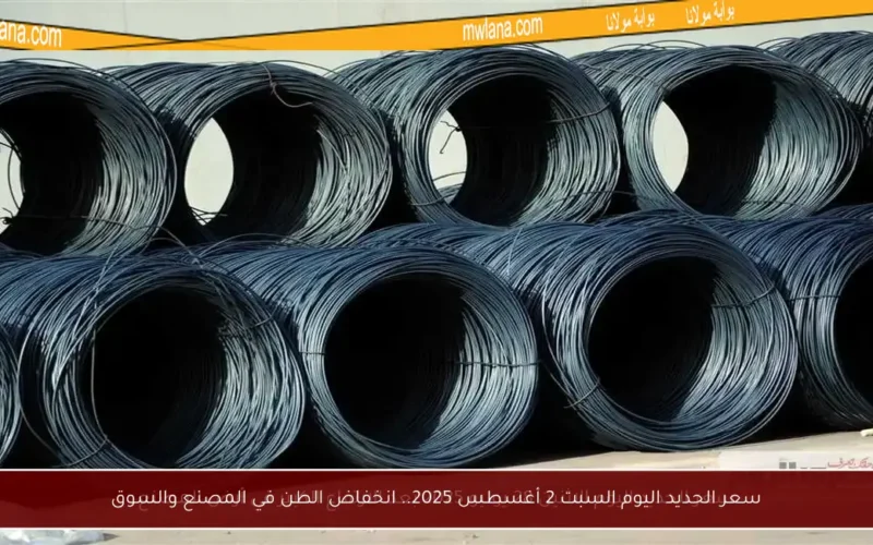 سعر الحديد اليوم السبت 2 أغسطس 2025.. انخفاض الطن في المصنع والسوق