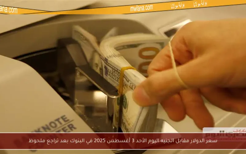 سعر الدولار مقابل الجنيه اليوم الأحد 3 أغسطس 2025 في البنوك بعد تراجع ملحوظ
