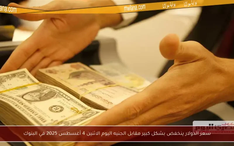 سعر الدولار ينخفض بشكل كبير مقابل الجنيه اليوم الاثنين 4 أغسطس 2025 في البنوك