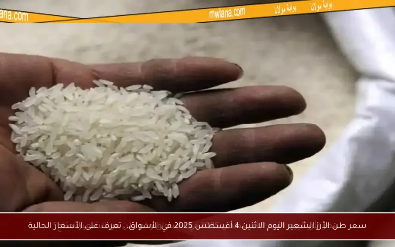 سعر طن الأرز الشعير اليوم الاثنين 4 أغسطس 2025 في الأسواق.. تعرف على الأسعار الحالية