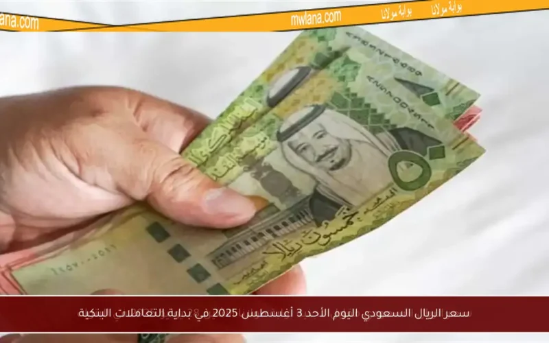 سعر الريال السعودي اليوم الأحد 3 أغسطس 2025 في بداية التعاملات البنكية