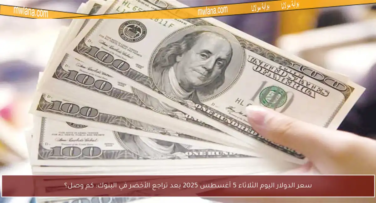 سعر الدولار اليوم الثلاثاء 5 أغسطس 2025 بعد تراجع الأخضر في البنوك: كم وصل؟