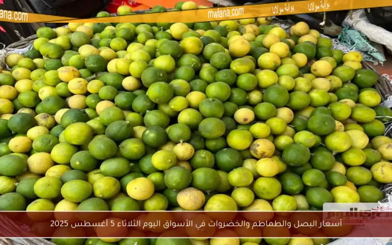 أسعار البصل والطماطم والخضروات في الأسواق اليوم الثلاثاء 5 أغسطس 2025