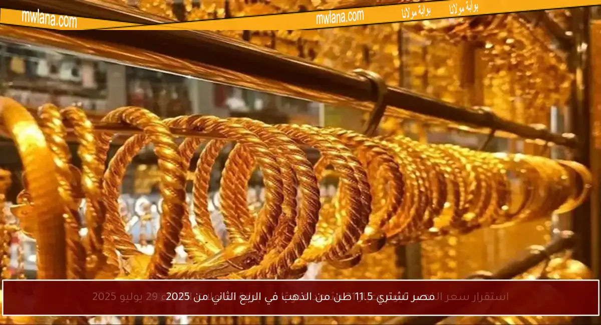 مصر تشتري 11.5 طن من الذهب في الربع الثاني من 2025