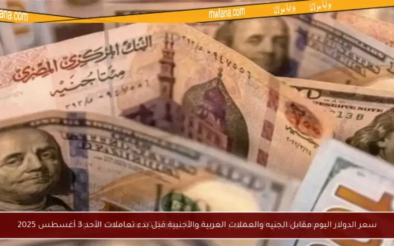 سعر الدولار اليوم مقابل الجنيه والعملات العربية والأجنبية قبل بدء تعاملات الأحد 3 أغسطس 2025