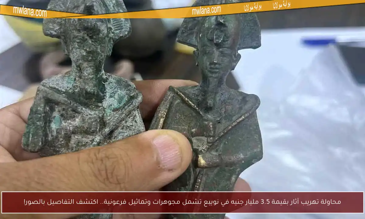 محاولة تهريب آثار بقيمة 3.5 مليار جنيه في نويبع تشمل مجوهرات وتماثيل فرعونية.. اكتشف التفاصيل بالصور!