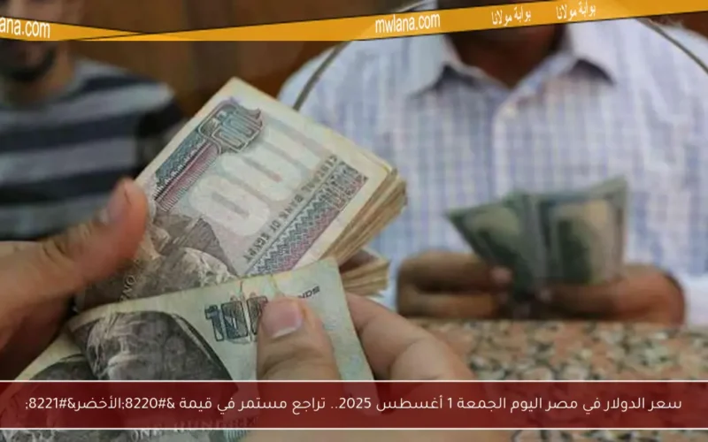 سعر الدولار في مصر اليوم الجمعة 1 أغسطس 2025.. تراجع مستمر في قيمة “الأخضر”