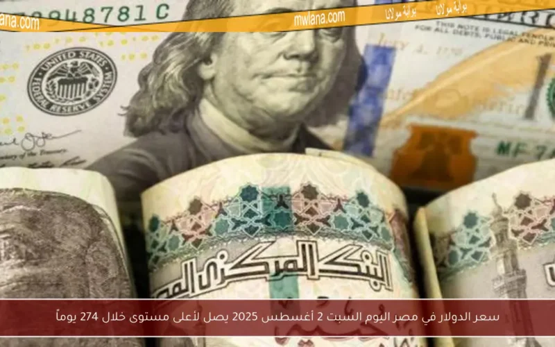 سعر الدولار في مصر اليوم السبت 2 أغسطس 2025 يصل لأعلى مستوى خلال 274 يوماً