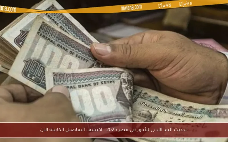 تحديث الحد الأدنى للأجور في مصر 2025.. اكتشف التفاصيل الكاملة الآن