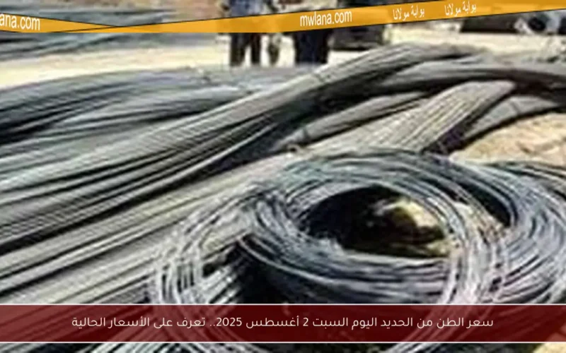 سعر الطن من الحديد اليوم السبت 2 أغسطس 2025.. تعرف على الأسعار الحالية