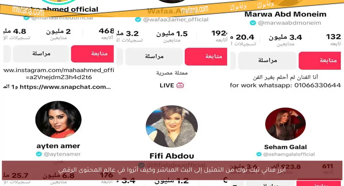 أبرز فناني تيك توك من التمثيل إلى البث المباشر وكيف أثروا في عالم المحتوى الرقمي