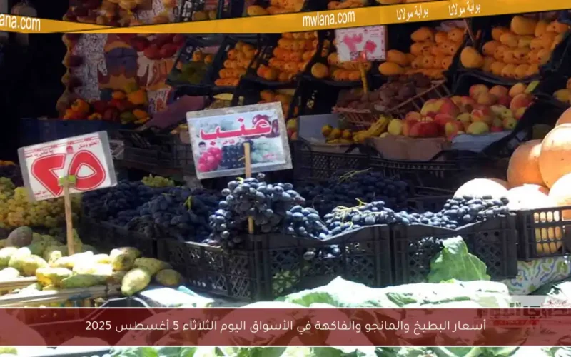 أسعار البطيخ والمانجو والفاكهة في الأسواق اليوم الثلاثاء 5 أغسطس 2025