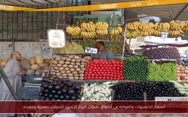 أسعار الخضروات والفواكه في أسواق أسوان اليوم الإثنين: تحديثات حصرية ومفيدة