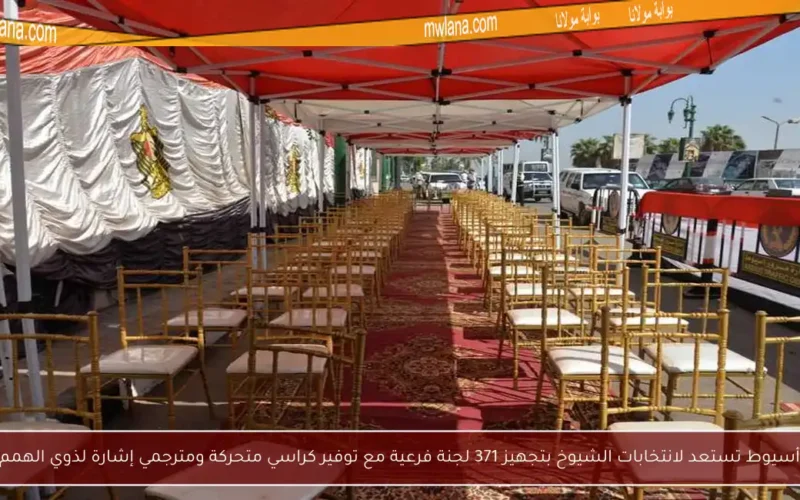 أسيوط تستعد لانتخابات الشيوخ بتجهيز 371 لجنة فرعية مع توفير كراسي متحركة ومترجمي إشارة لذوي الهمم