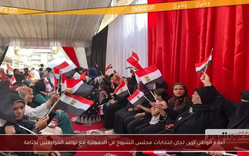 أعلام الوطن تزين لجان انتخابات مجلس الشيوخ في الدقهلية مع توافد المواطنين بكثافة