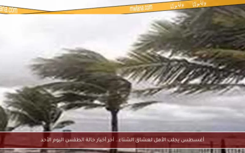 أغسطس يجلب الأمل لعشاق الشتاء.. آخر أخبار حالة الطقس اليوم الأحد