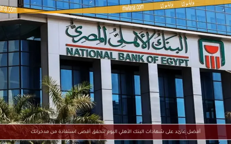 أفضل عائد على شهادات البنك الأهلي اليوم لتحقق أقصى استفادة من مدخراتك