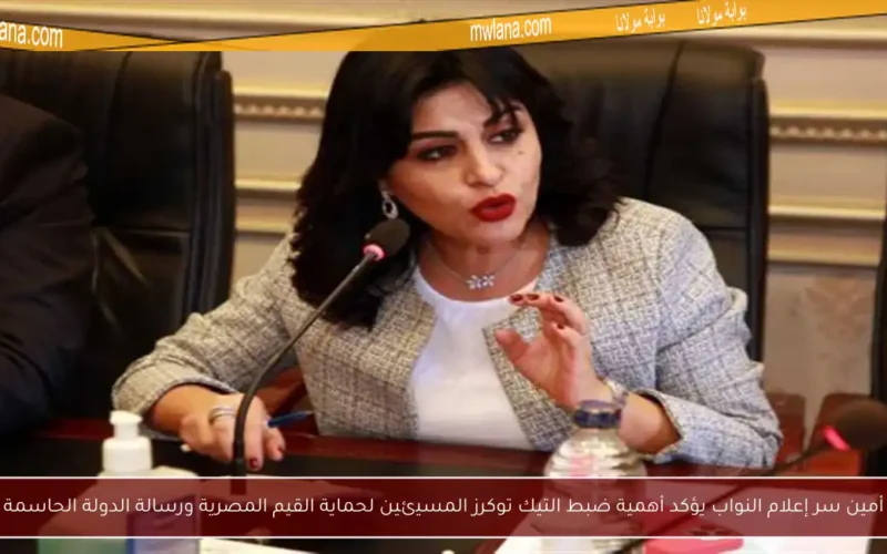 أمين سر إعلام النواب يؤكد أهمية ضبط التيك توكرز المسيئين لحماية القيم المصرية ورسالة الدولة الحاسمة