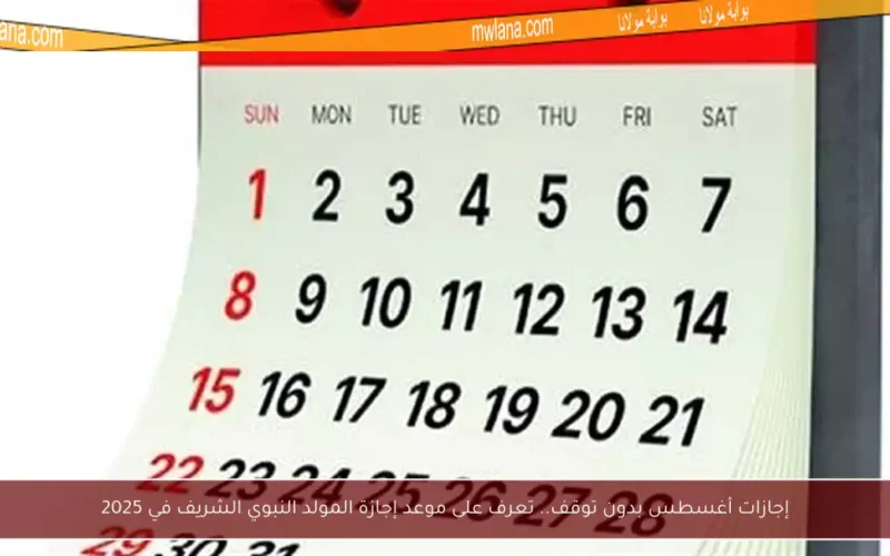 إجازات أغسطس بدون توقف.. تعرف على موعد إجازة المولد النبوي الشريف في 2025