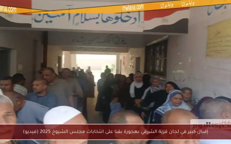 إقبال كبير في لجان قرية الشرقي بهجورة بقنا على انتخابات مجلس الشيوخ 2025 (فيديو)