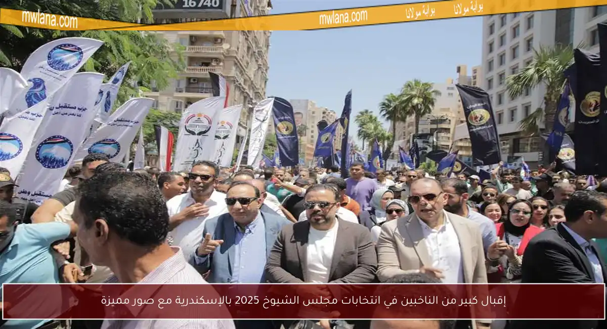 إقبال كبير من الناخبين في انتخابات مجلس الشيوخ 2025 بالإسكندرية مع صور مميزة