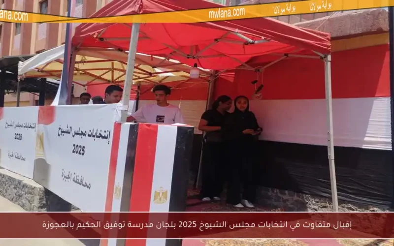 إقبال متفاوت في انتخابات مجلس الشيوخ 2025 بلجان مدرسة توفيق الحكيم بالعجوزة