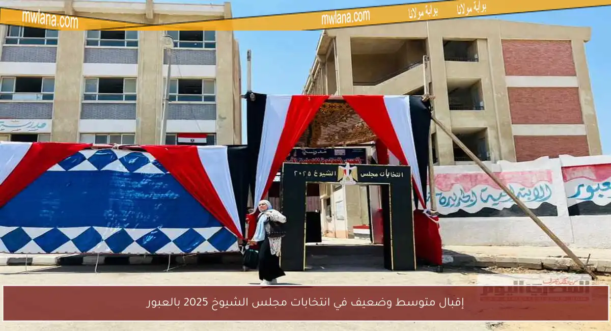 إقبال متوسط وضعيف في انتخابات مجلس الشيوخ 2025 بالعبور