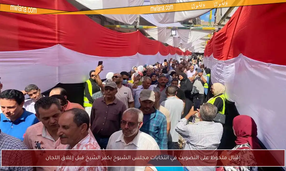 إقبال ملحوظ على التصويت في انتخابات مجلس الشيوخ بكفر الشيخ قبل إغلاق اللجان