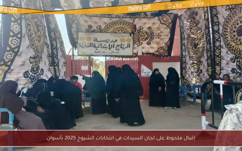 إقبال ملحوظ على لجان السيدات في انتخابات الشيوخ 2025 بأسوان