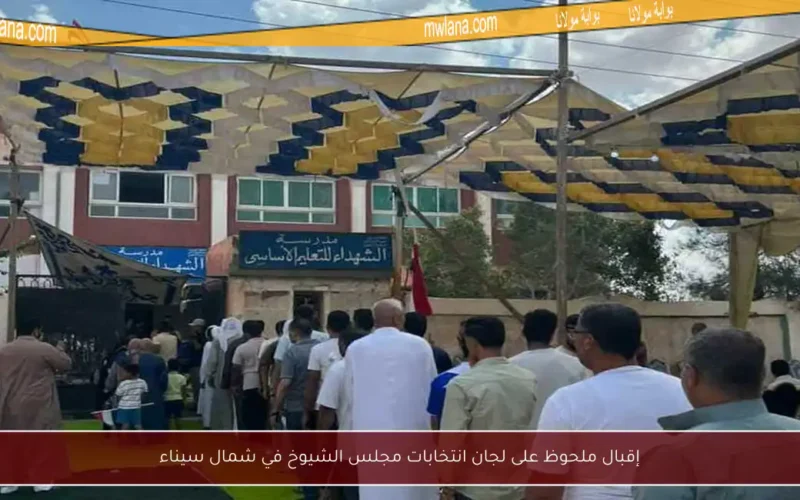 إقبال ملحوظ على لجان انتخابات مجلس الشيوخ في شمال سيناء