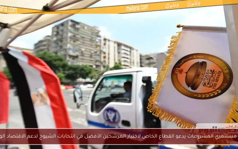 اتحاد مستثمري المشروعات يدعو القطاع الخاص لاختيار المرشحين الأفضل في انتخابات الشيوخ لدعم الاقتصاد الوطني