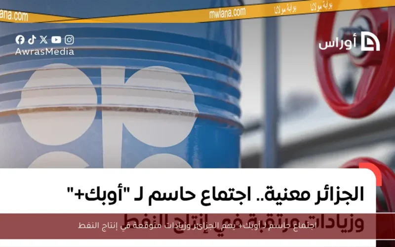 اجتماع حاسم لـ أوبك+ يهم الجزائر وزيادات متوقعة في إنتاج النفط
