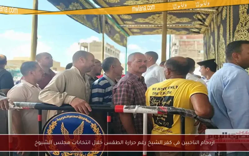 ازدحام الناخبين في كفر الشيخ رغم حرارة الطقس خلال انتخابات مجلس الشيوخ