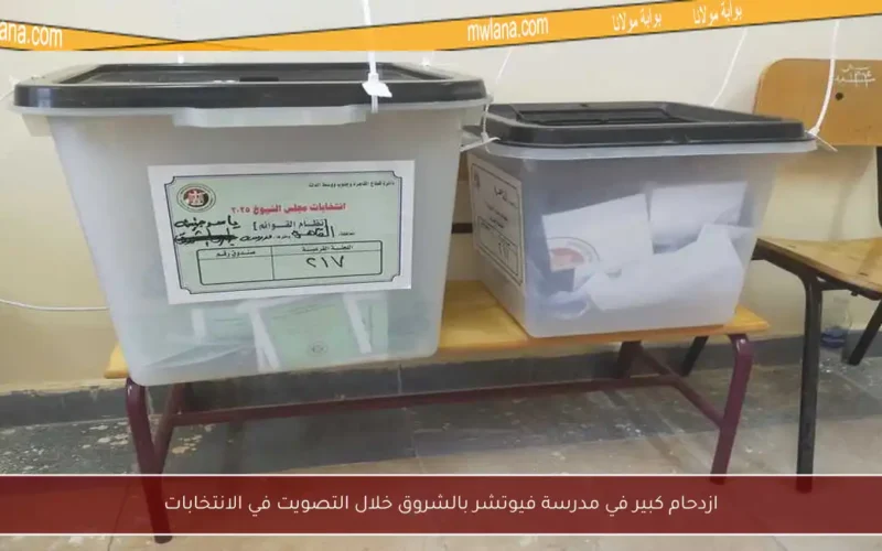 ازدحام كبير في مدرسة فيوتشر بالشروق خلال التصويت في الانتخابات