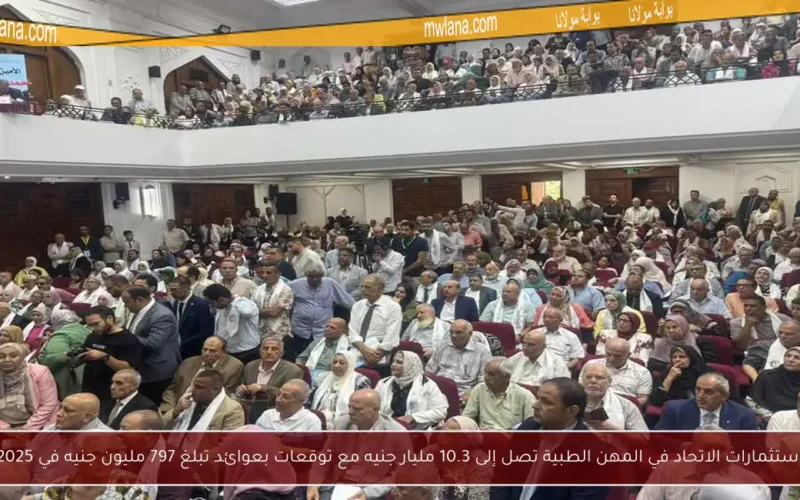 استثمارات الاتحاد في المهن الطبية تصل إلى 10.3 مليار جنيه مع توقعات بعوائد تبلغ 797 مليون جنيه في 2025