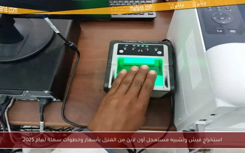 استخراج فيش وتشبيه مستعجل أون لاين من المنزل بأسعار وخطوات سهلة لعام 2025