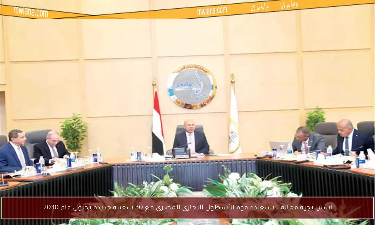 استراتيجية فعالة لاستعادة قوة الأسطول التجاري المصري مع 30 سفينة جديدة بحلول عام 2030
