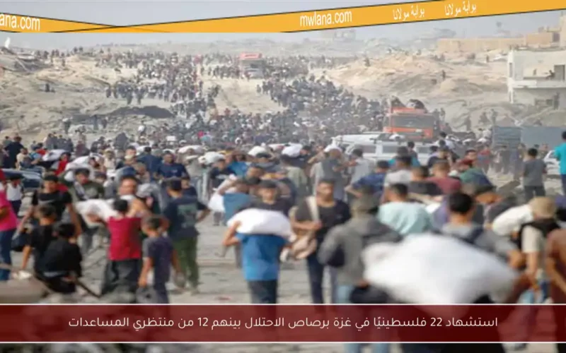 استشهاد 22 فلسطينيًا في غزة برصاص الاحتلال بينهم 12 من منتظري المساعدات