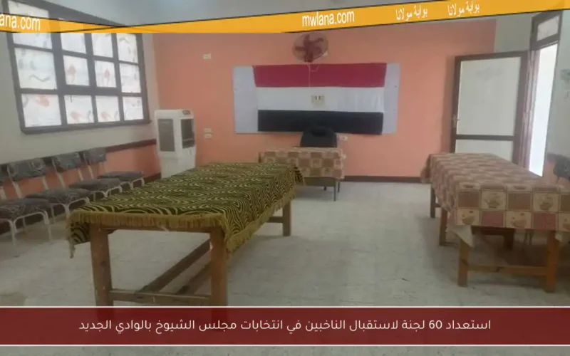 استعداد 60 لجنة لاستقبال الناخبين في انتخابات مجلس الشيوخ بالوادي الجديد