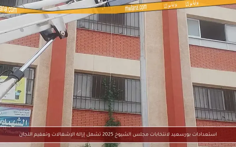 استعدادات بورسعيد لانتخابات مجلس الشيوخ 2025 تشمل إزالة الإشغالات وتعقيم اللجان