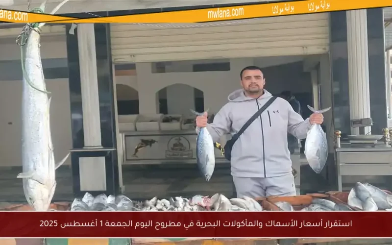 استقرار أسعار الأسماك والمأكولات البحرية في مطروح اليوم الجمعة 1 أغسطس 2025