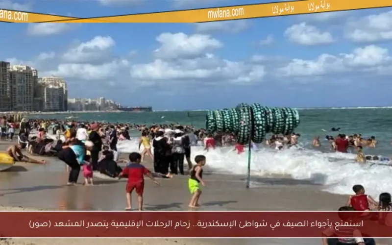 استمتع بأجواء الصيف في شواطئ الإسكندرية.. زحام الرحلات الإقليمية يتصدر المشهد (صور)
