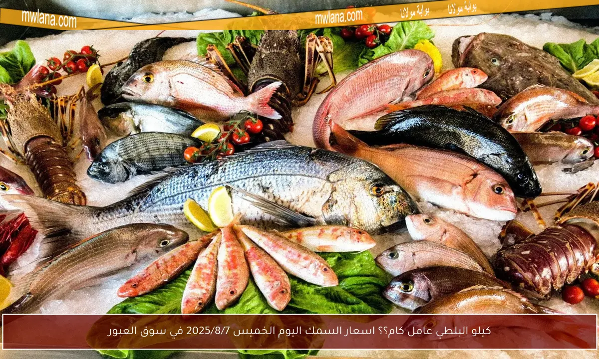 كيلو البلطي عامل كام؟؟ اسعار السمك اليوم الخميس 2025/8/7 في سوق العبور