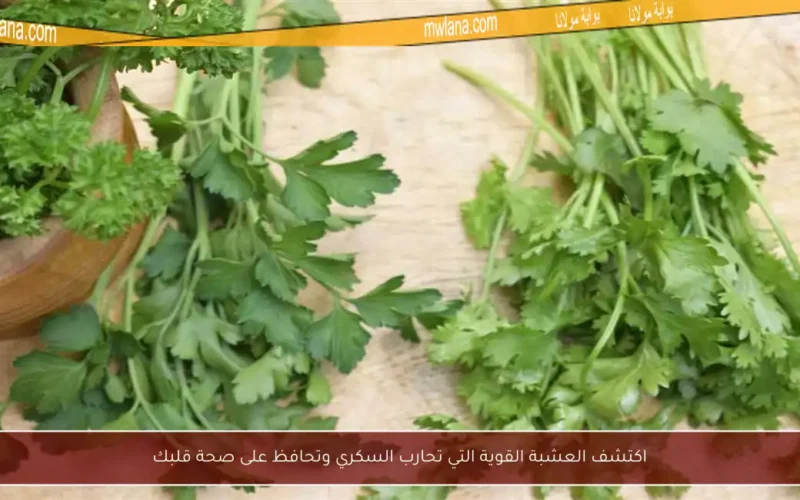 اكتشف العشبة القوية التي تحارب السكري وتحافظ على صحة قلبك