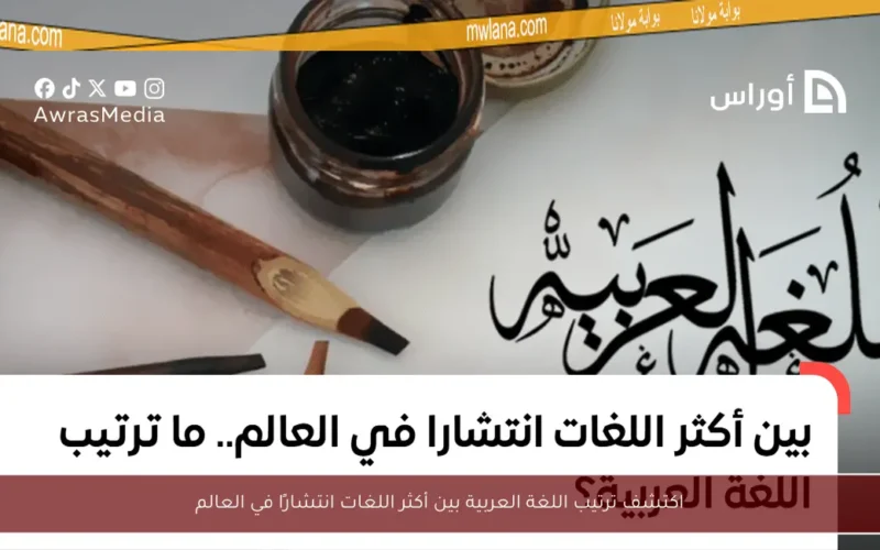 اكتشف ترتيب اللغة العربية بين أكثر اللغات انتشارًا في العالم